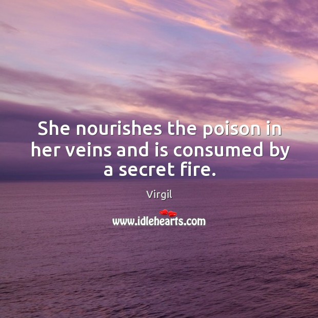 She nourishes the poison in her veins and is consumed by a secret fire. Virgil Picture Quote