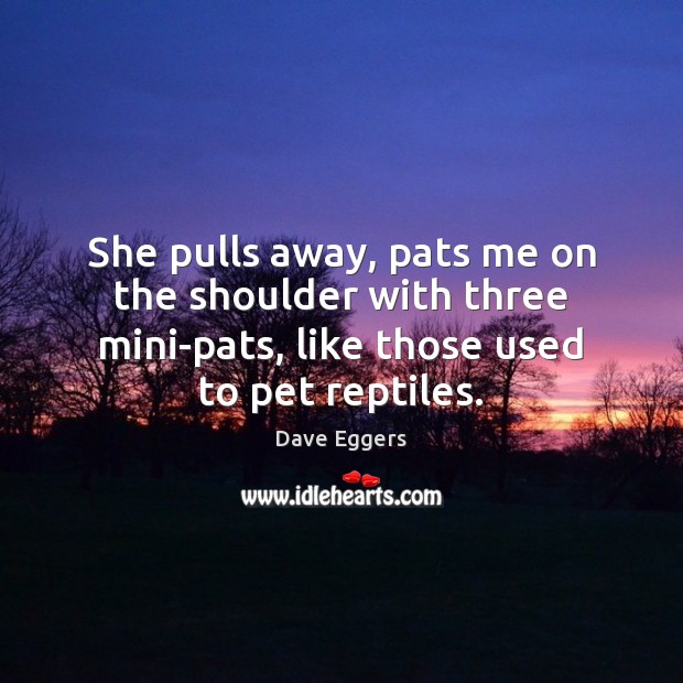She pulls away, pats me on the shoulder with three mini-pats, like Dave Eggers Picture Quote