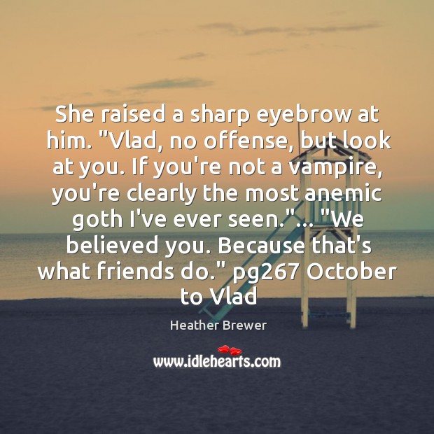 She raised a sharp eyebrow at him. “Vlad, no offense, but look Heather Brewer Picture Quote