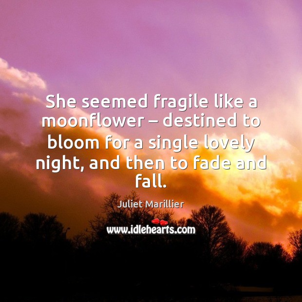 She seemed fragile like a moonflower – destined to bloom for a single Juliet Marillier Picture Quote