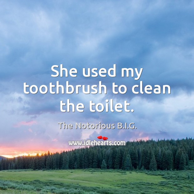 She used my toothbrush to clean the toilet. Image
