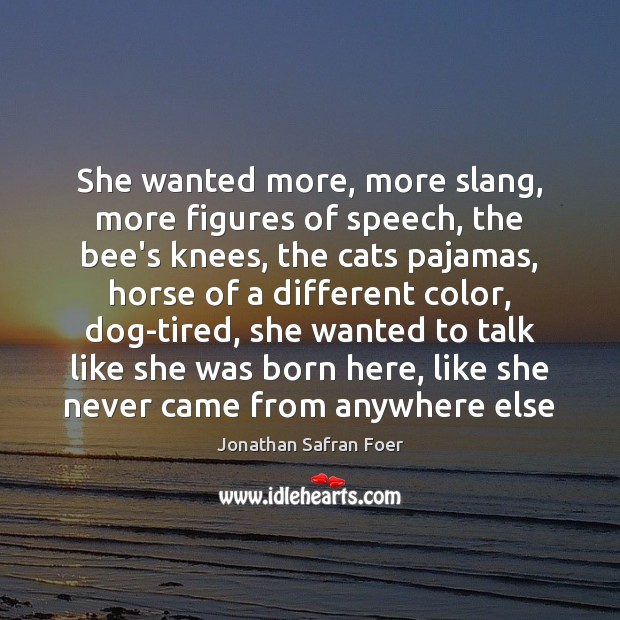 She wanted more, more slang, more figures of speech, the bee’s knees, Jonathan Safran Foer Picture Quote