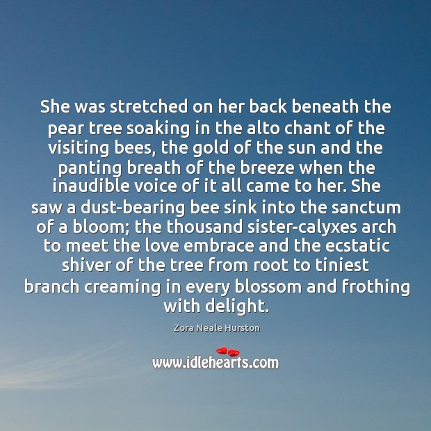 She was stretched on her back beneath the pear tree soaking in Zora Neale Hurston Picture Quote