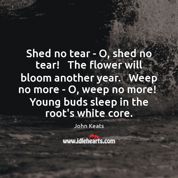 Shed no tear – O, shed no tear!   The flower will bloom Flowers Quotes Image