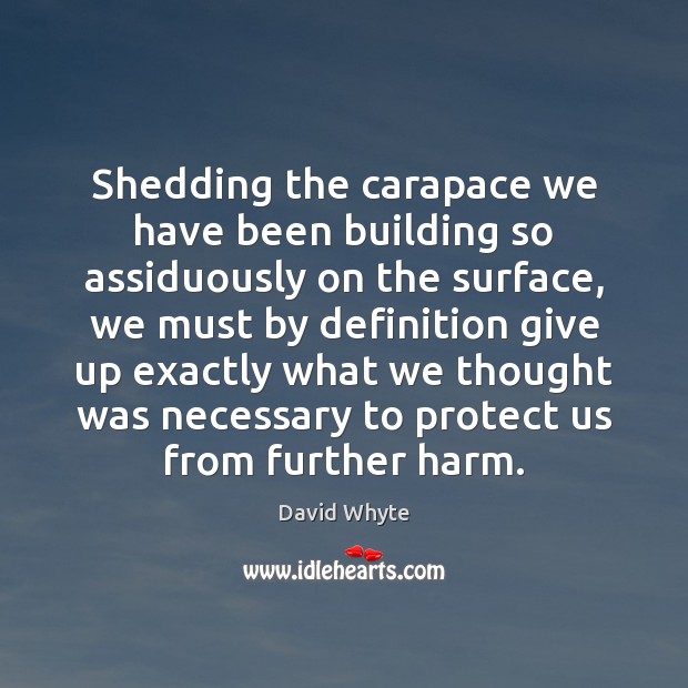 Shedding the carapace we have been building so assiduously on the surface, David Whyte Picture Quote