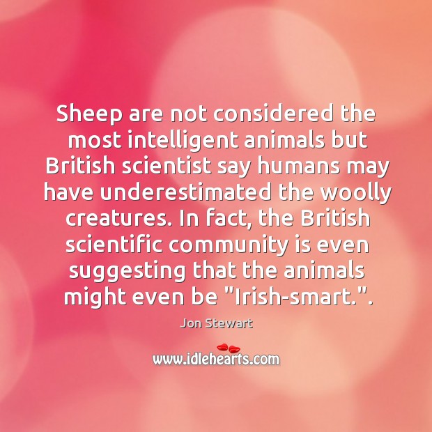 Sheep are not considered the most intelligent animals but British scientist say Jon Stewart Picture Quote