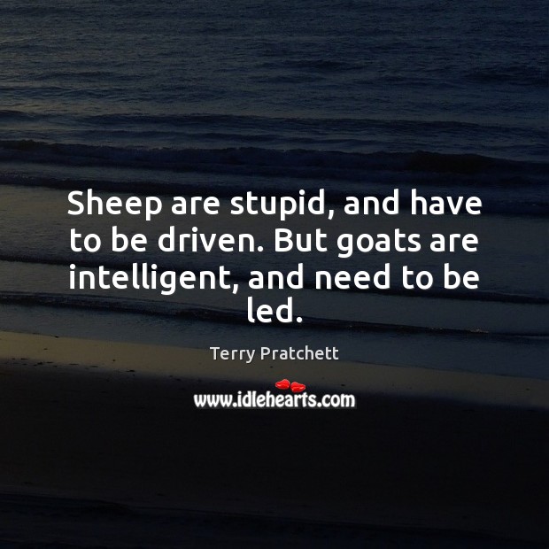 Sheep are stupid, and have to be driven. But goats are intelligent, and need to be led. Terry Pratchett Picture Quote