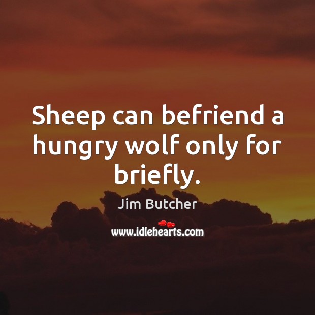 Sheep can befriend a hungry wolf only for briefly. Image