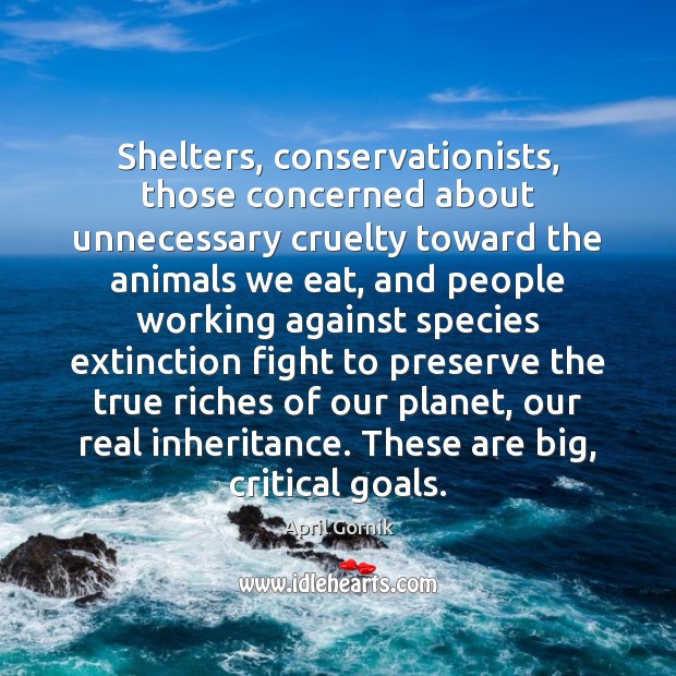 Shelters, conservationists, those concerned about unnecessary cruelty toward the animals we eat, Image