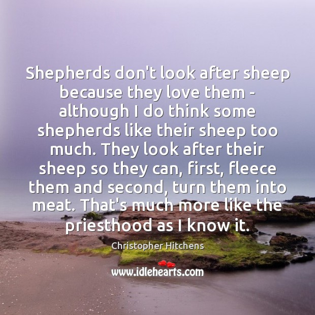 Shepherds don’t look after sheep because they love them – although I Christopher Hitchens Picture Quote
