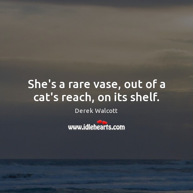 She’s a rare vase, out of a cat’s reach, on its shelf. Derek Walcott Picture Quote