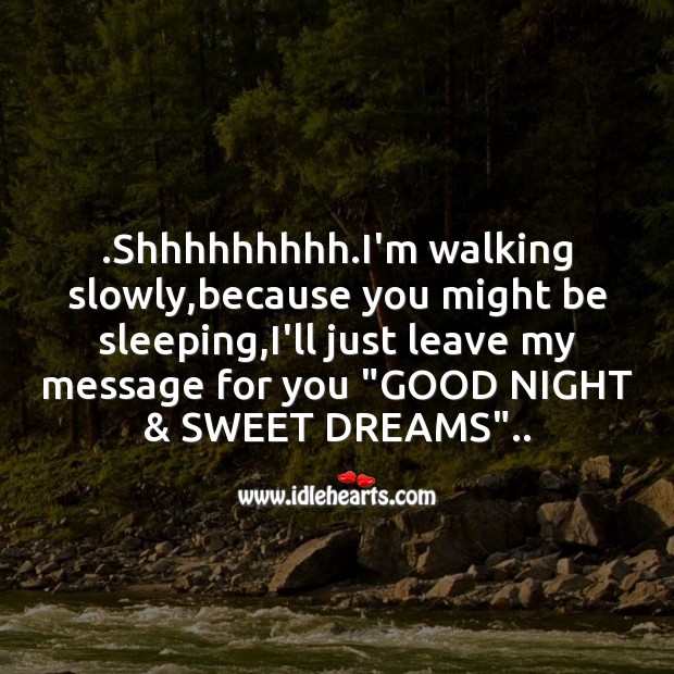 Shhhhhhhhh.i’m walking slowly Good Night Messages Image