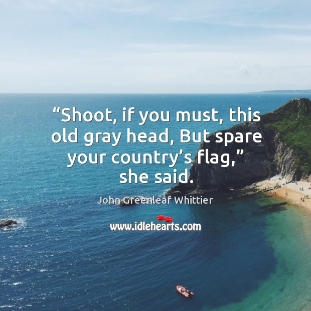 Shoot, if you must, this old gray head, but spare your country’s flag, she said. Image