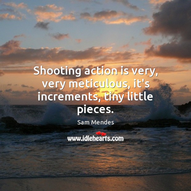 Shooting action is very, very meticulous, it’s increments, tiny little pieces. Sam Mendes Picture Quote