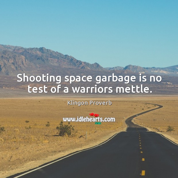Shooting space garbage is no test of a warriors mettle. Klingon Proverbs Image