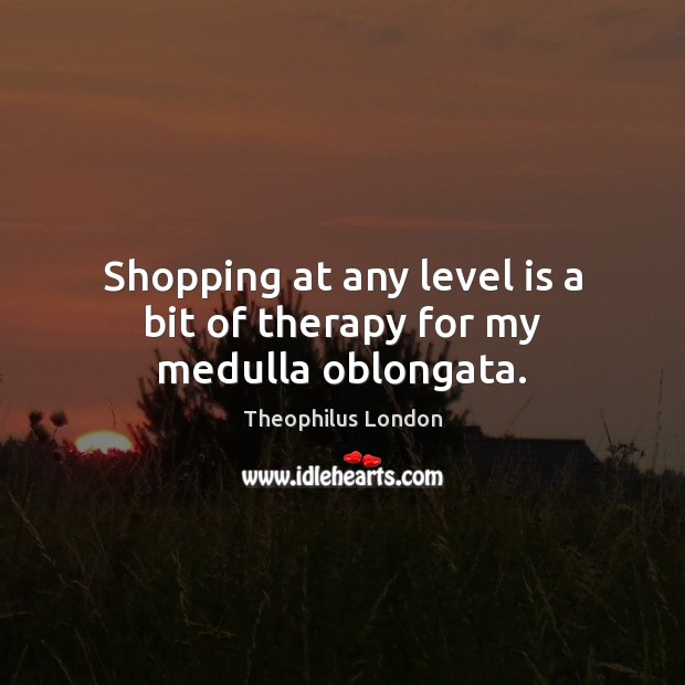 Shopping at any level is a bit of therapy for my medulla oblongata. Theophilus London Picture Quote