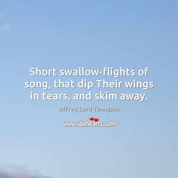Short swallow-flights of song, that dip Their wings in tears, and skim away. Alfred Lord Tennyson Picture Quote