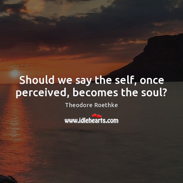 Should we say the self, once perceived, becomes the soul? 