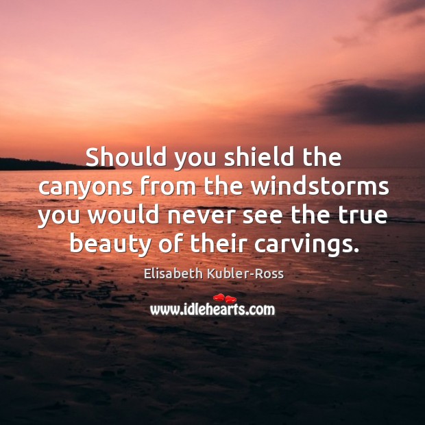 Should you shield the canyons from the windstorms you would never see the true beauty of their carvings. Elisabeth Kubler-Ross Picture Quote