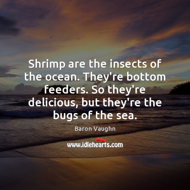 Shrimp are the insects of the ocean. They’re bottom feeders. So they’re Baron Vaughn Picture Quote