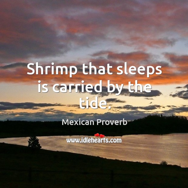 Shrimp that sleeps is carried by the tide. Mexican Proverbs Image