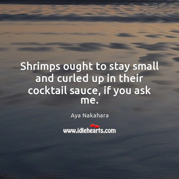 Shrimps ought to stay small and curled up in their cocktail sauce, if you ask me. Aya Nakahara Picture Quote