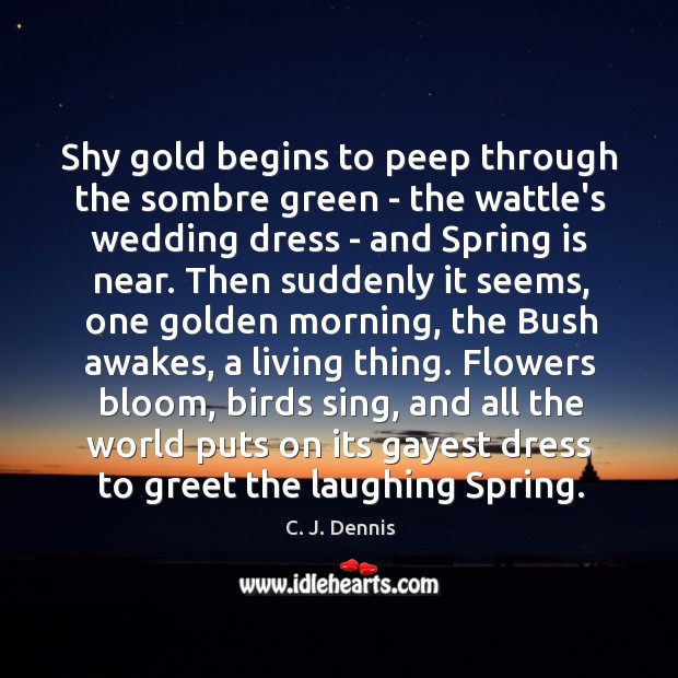 Shy gold begins to peep through the sombre green – the wattle’s C. J. Dennis Picture Quote