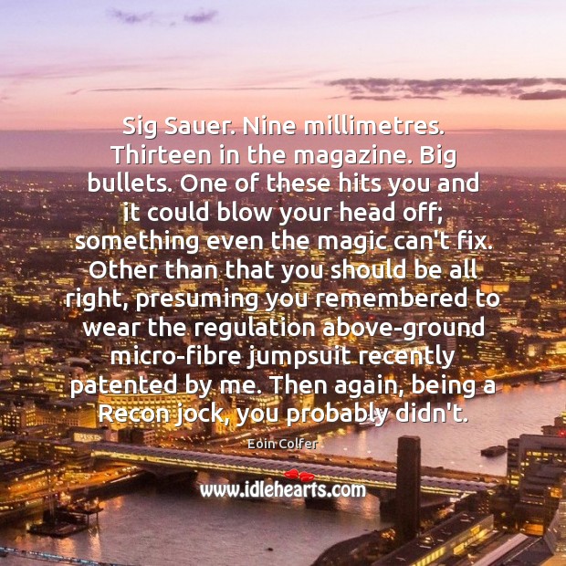 Sig Sauer. Nine millimetres. Thirteen in the magazine. Big bullets. One of Image