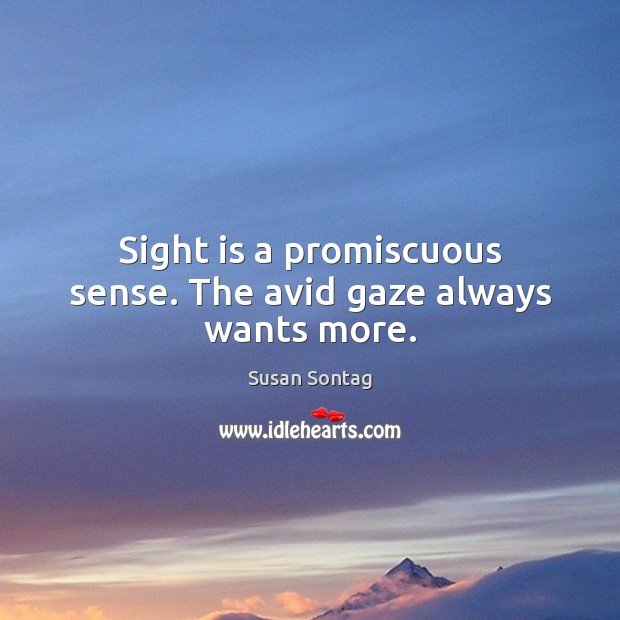 Sight is a promiscuous sense. The avid gaze always wants more. Image