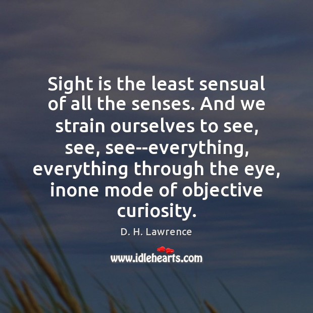 Sight is the least sensual of all the senses. And we strain Image
