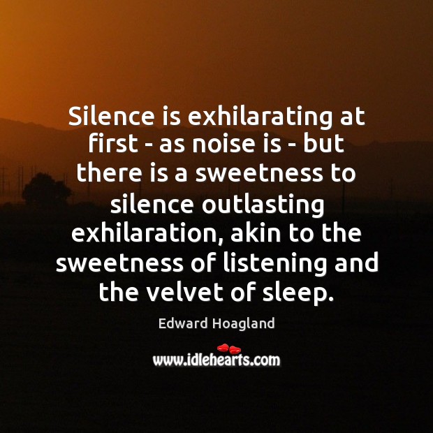 Silence is exhilarating at first – as noise is – but there Image