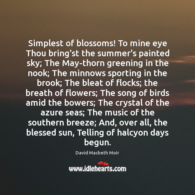 Simplest of blossoms! To mine eye Thou bring’st the summer’s painted sky; David Macbeth Moir Picture Quote