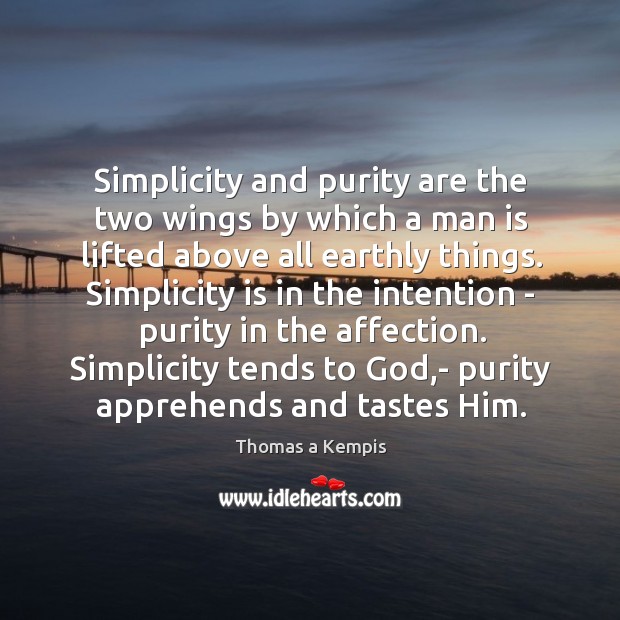 Simplicity and purity are the two wings by which a man is Image