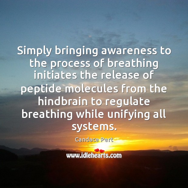 Simply bringing awareness to the process of breathing initiates the release of Candace Pert Picture Quote