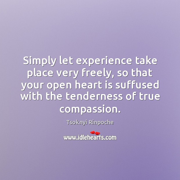 Simply let experience take place very freely, so that your open heart 