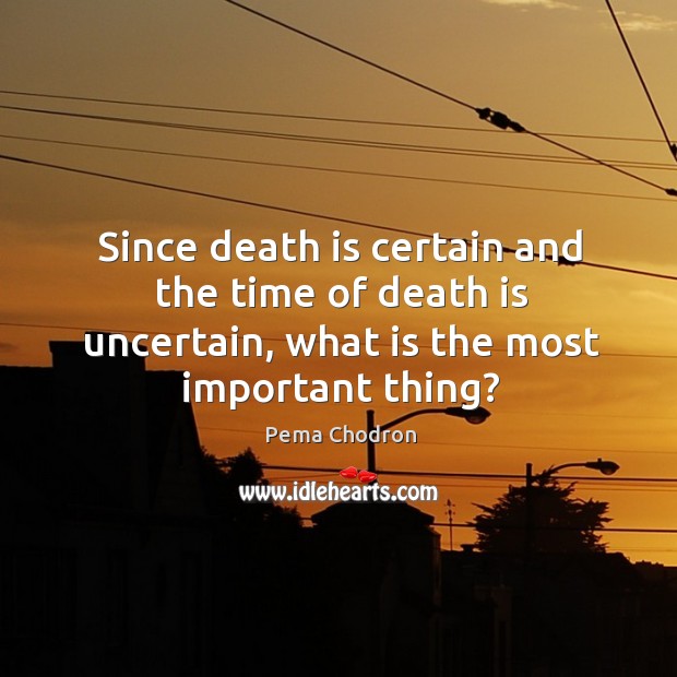 Since death is certain and the time of death is uncertain, what Pema Chodron Picture Quote