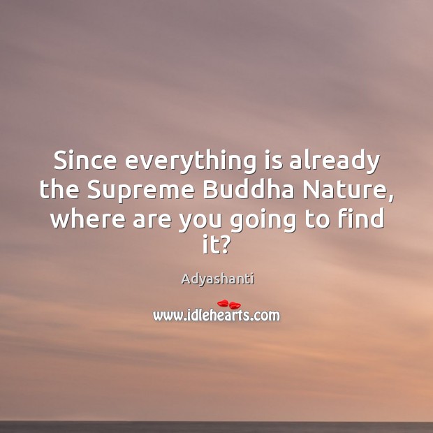 Since everything is already the Supreme Buddha Nature, where are you going to find it? Adyashanti Picture Quote