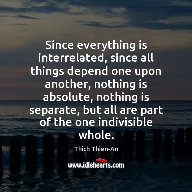 Since everything is interrelated, since all things depend one upon another, nothing Thich Thien-An Picture Quote