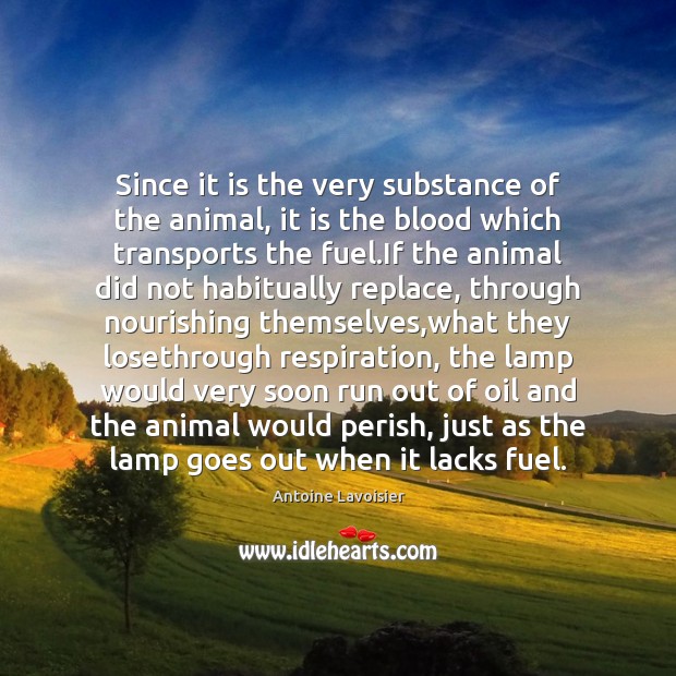 Since it is the very substance of the animal, it is the Antoine Lavoisier Picture Quote