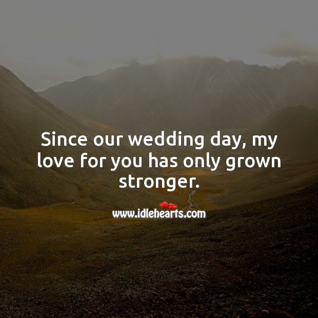 Since our wedding day, my love for you has only grown stronger. Wedding Anniversary Wishes Image