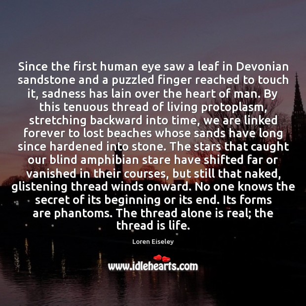 Since the first human eye saw a leaf in Devonian sandstone and Image