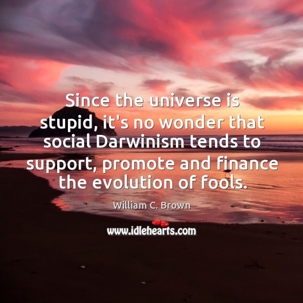 Since the universe is stupid, it’s no wonder that social Darwinism tends William C. Brown Picture Quote