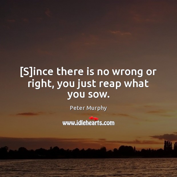 [S]ince there is no wrong or right, you just reap what you sow. Peter Murphy Picture Quote