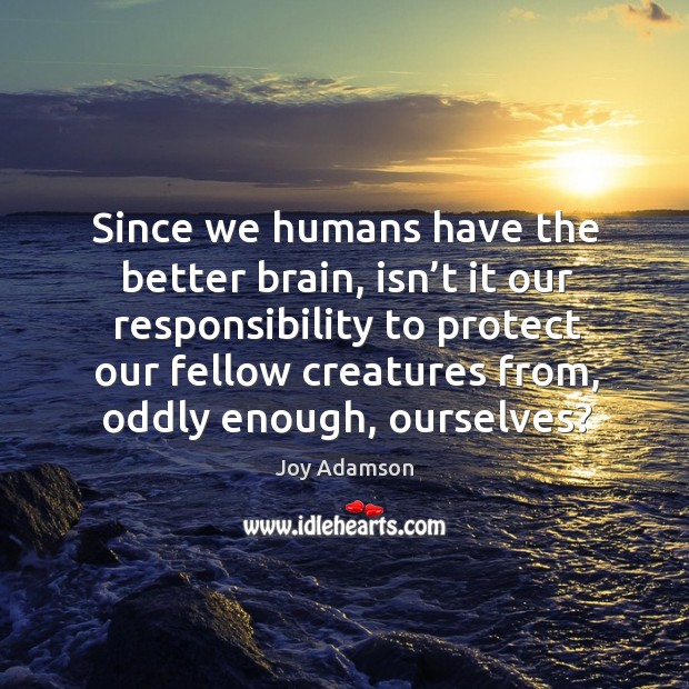 Since we humans have the better brain, isn’t it our responsibility to protect our fellow Joy Adamson Picture Quote