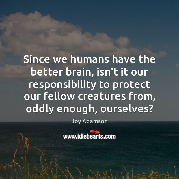 Since we humans have the better brain, isn’t it our responsibility to Joy Adamson Picture Quote