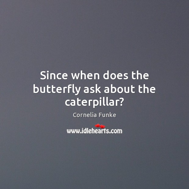 Since when does the butterfly ask about the caterpillar? Cornelia Funke Picture Quote