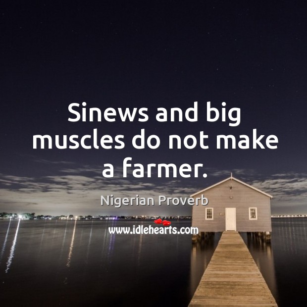 Sinews and big muscles do not make a farmer. Nigerian Proverbs Image