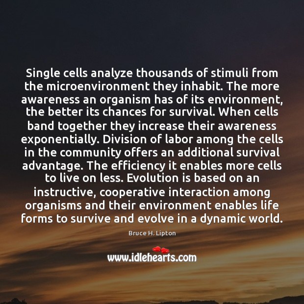 Single cells analyze thousands of stimuli from the microenvironment they inhabit. The Bruce H. Lipton Picture Quote