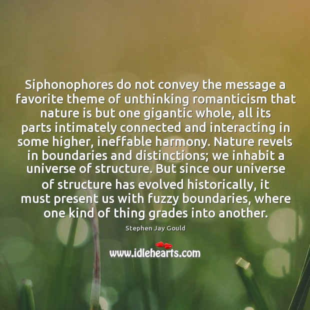 Siphonophores do not convey the message a favorite theme of unthinking romanticism Stephen Jay Gould Picture Quote