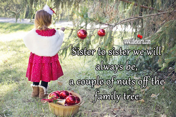 Sister to sister we will always be, a couple of nuts off the family tree. Sister Quotes Image